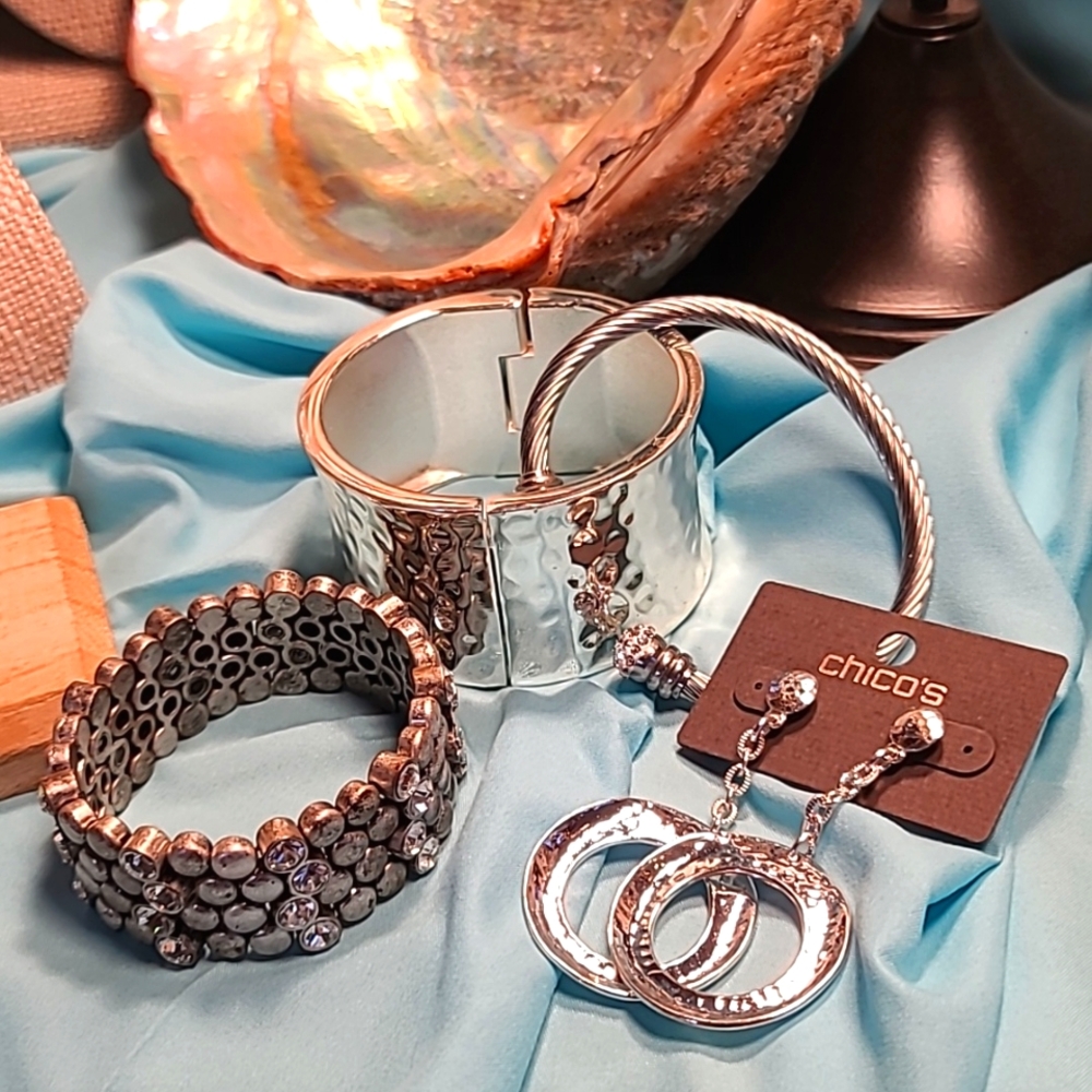 Incredible 18-item Lucky, Robert Lee Morris, INC, Chico's, & more Designer Set! - Picture 10 of 14